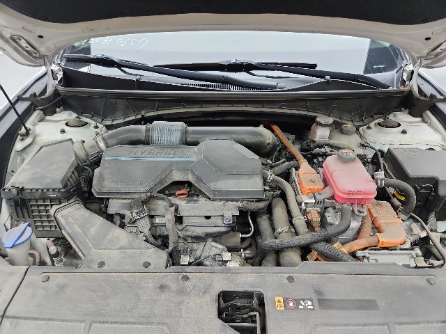 lotterental_210141594_EYzz7_7.jpg