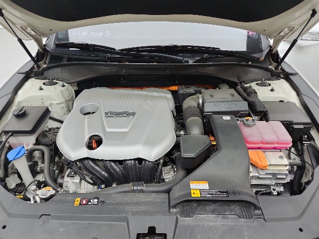 lotterental_094204305_Xtvdv_9.jpg