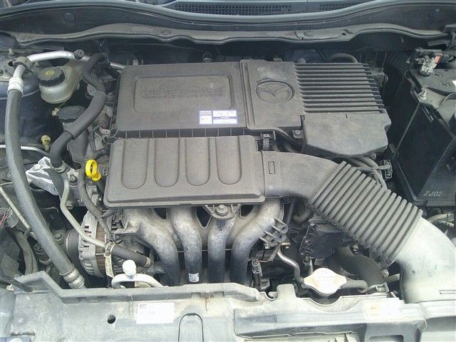 08.jpg