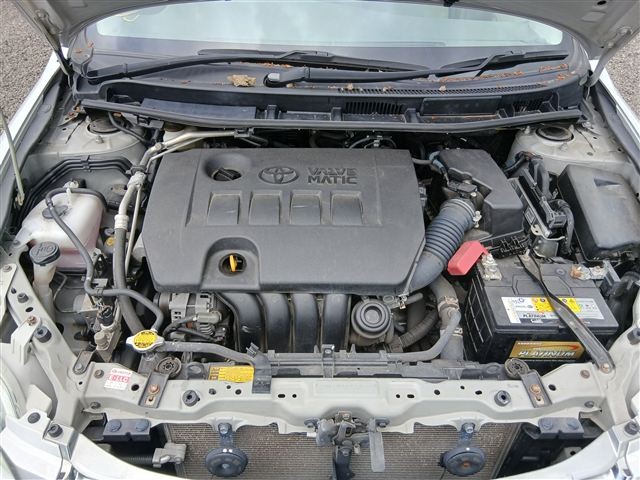 08.jpg