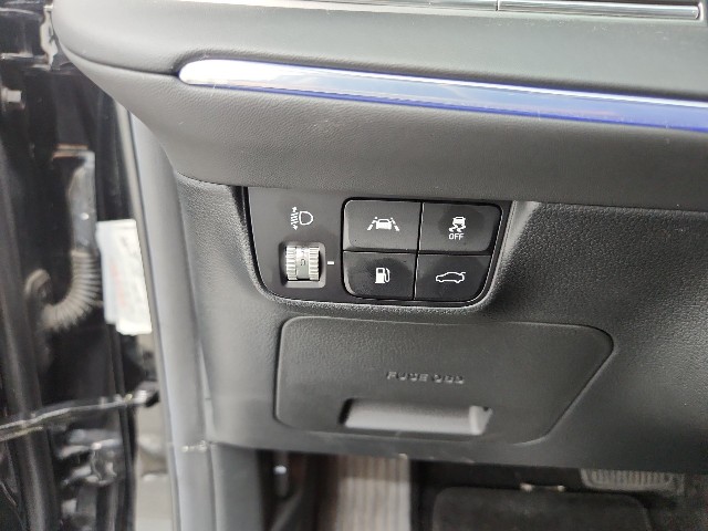 lotterental_220559781_sAbVO_2.jpg