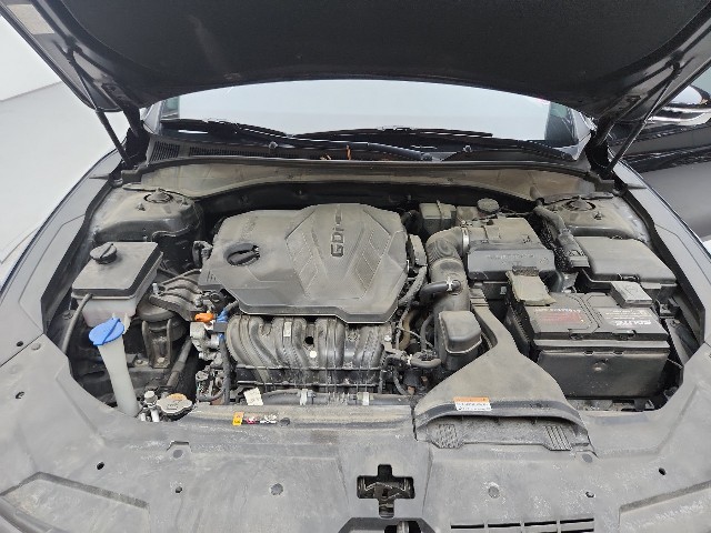 lotterental_220600153_PllN2_8.jpg