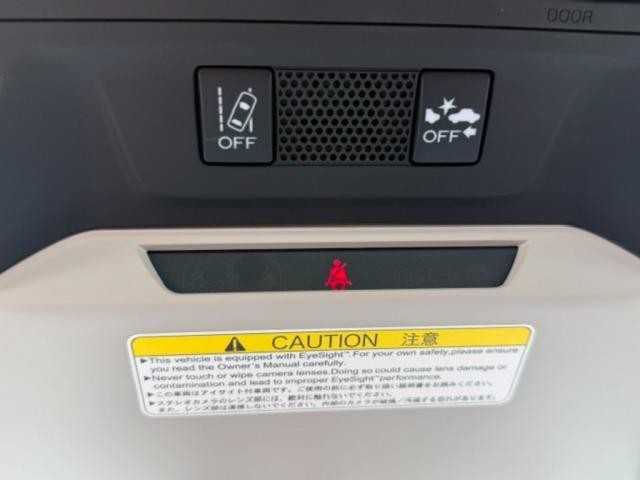 27117390_carP_l_7.jpg