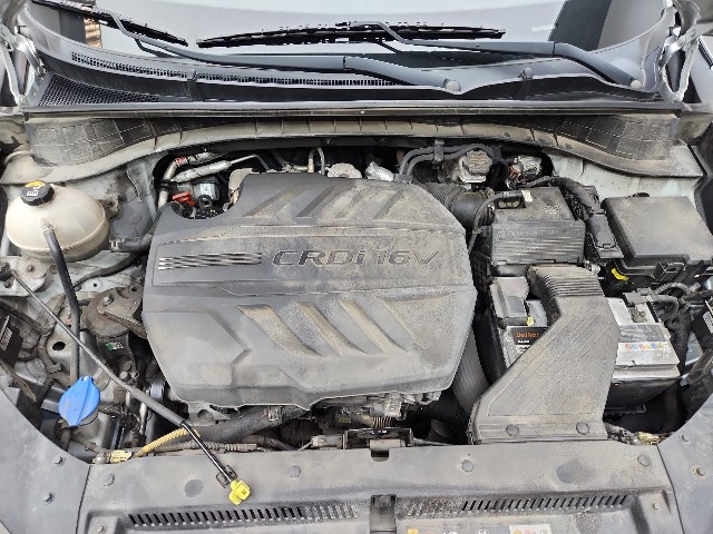 lotterental_162313348_IizCV_8.jpg