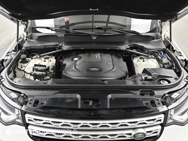 c112598168effb113d2e5336dac225f1.jpeg