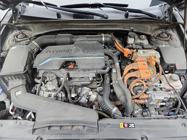 lotterental_171852569_D125x_10.jpg