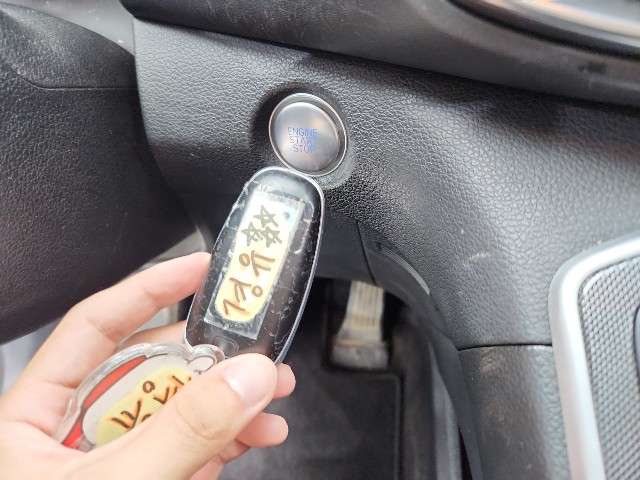 lotterental_225216698_bOk2G_6.jpg