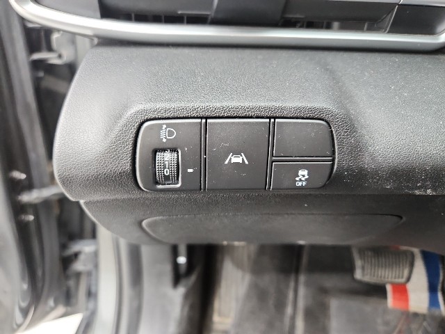 lotterental_160032821_w0oaF_1.jpg