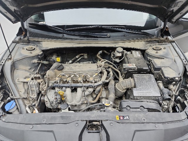 lotterental_16003389_t8Ynd_6.jpg