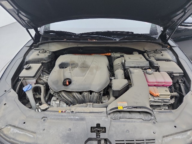 lotterental_225838231_WMAVJ_9.jpg
