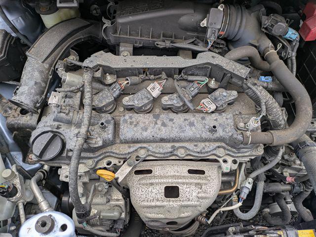 08.jpg