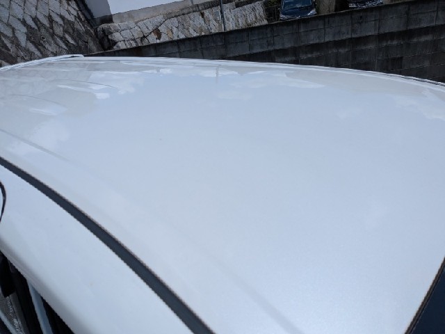 9d343d070cbf5d08a900a2319c551ed5.jpeg