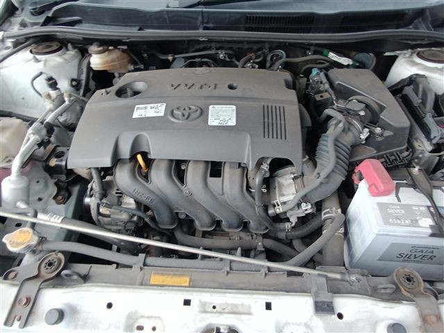 08.jpg