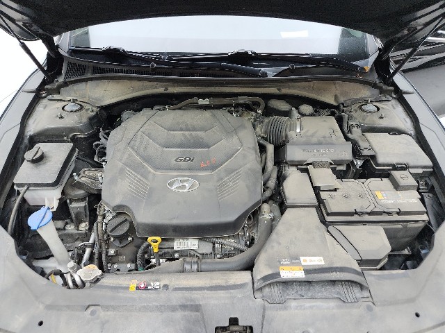 lotterental_213352688_pewlT_10.jpg