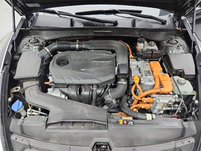 lotterental_203223580_du5CY_2.jpg