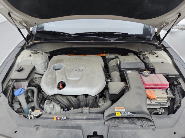 lotterental_142115934_znm3V_9.jpg
