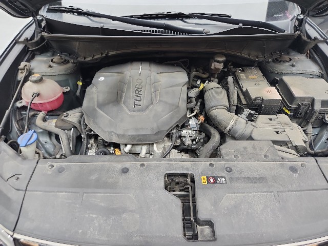 lotterental_161831534_VbLDx_10.jpg