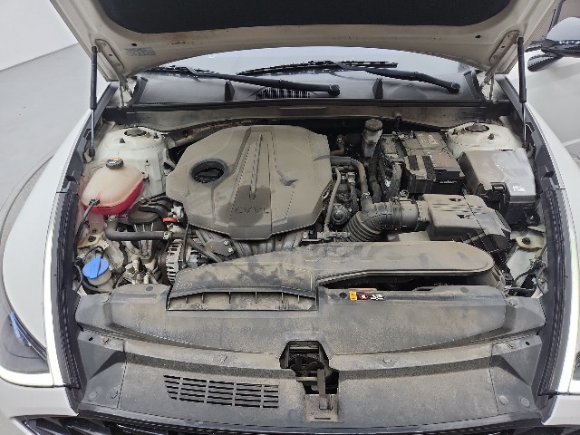 lotterental_232100331_yhx4c_8.jpg