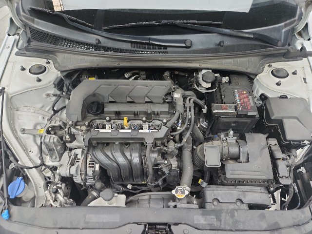 lotterental_145358974_61nLU_7.jpg