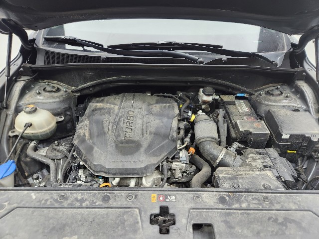 lotterental_092801856_4bQgX_10.jpg