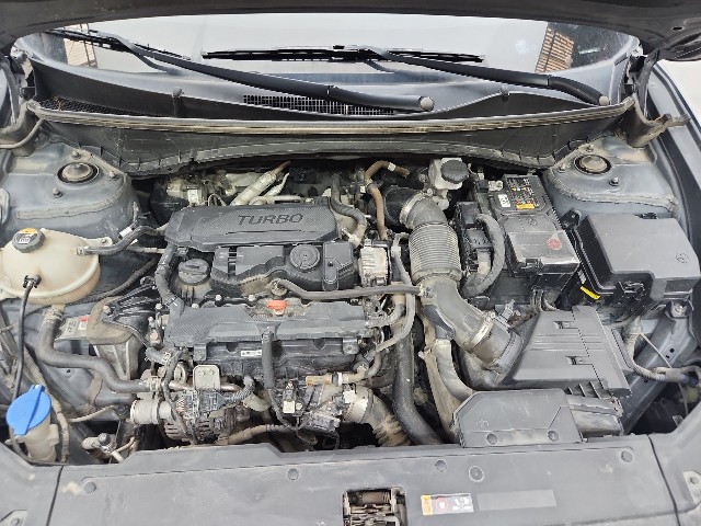 lotterental_222809461_i9O5x_8.jpg