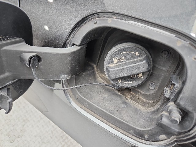 lotterental_223433504_Bc62E_7.jpg