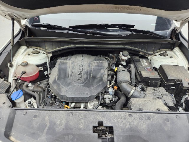 lotterental_205158452_u7hTP_6.jpg