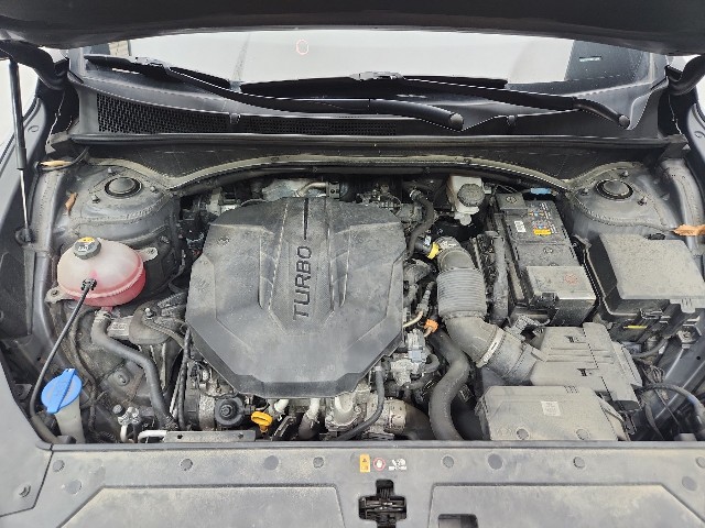 lotterental_220548558_86SXE_9.jpg