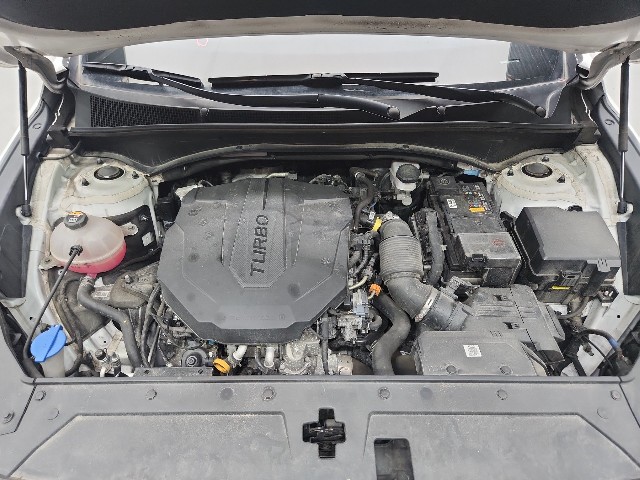 lotterental_215437591_jhU6E_10.jpg