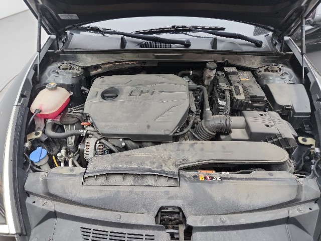 lotterental_224727948_Fv2sB_7.jpg