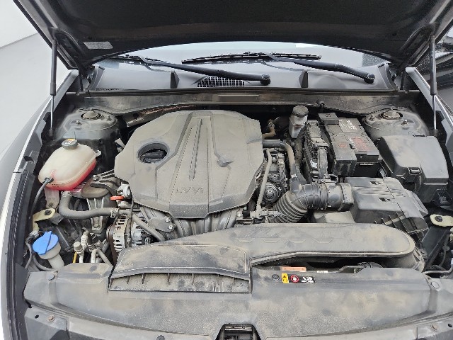lotterental_145448248_El1ki_9.jpg