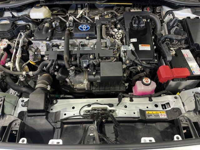 3f14cabbe8bed2fbe5c53f7c6565ba05.jpg