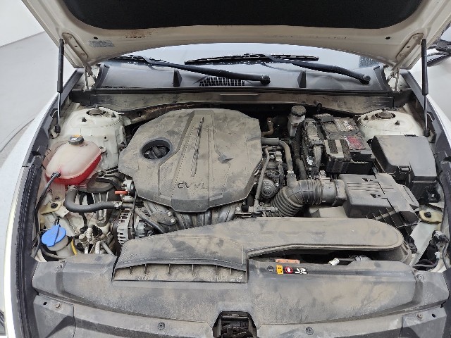 lotterental_144337604_UCDh5_8.jpg