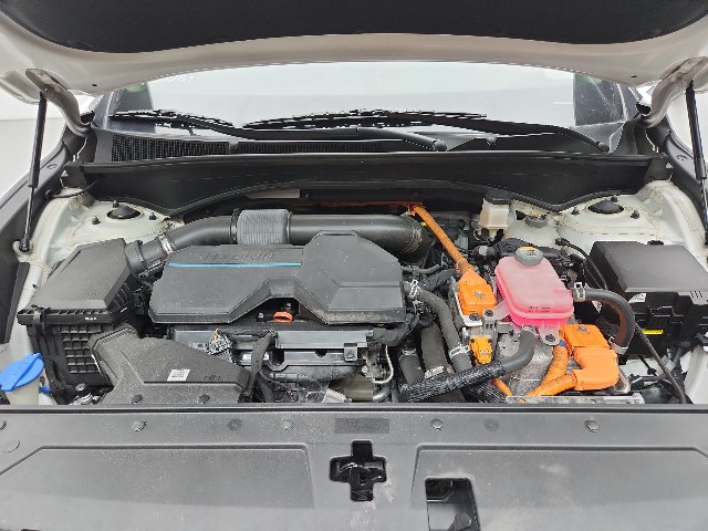 lotterental_143226432_fA0ZU_9.jpg