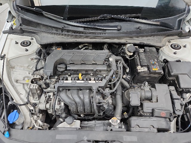 lotterental_165734557_3IzOJ_10.jpg