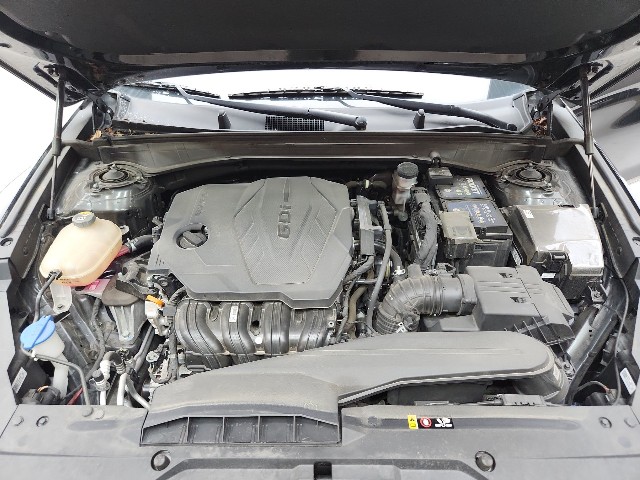 lotterental_100948769_BhuR2_2.jpg