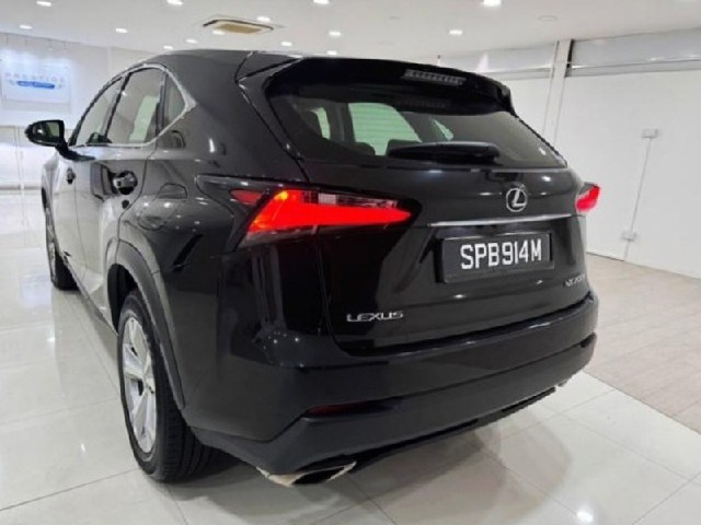 70b306b84dc9e036c5f5e2b8e10c62db.jpeg