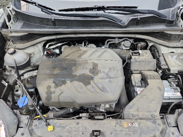 lotterental_212932207_DfEmD_2.jpg