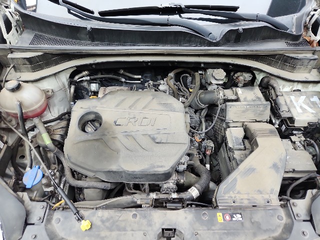 lotterental_131304182_3EZmq_9.jpg