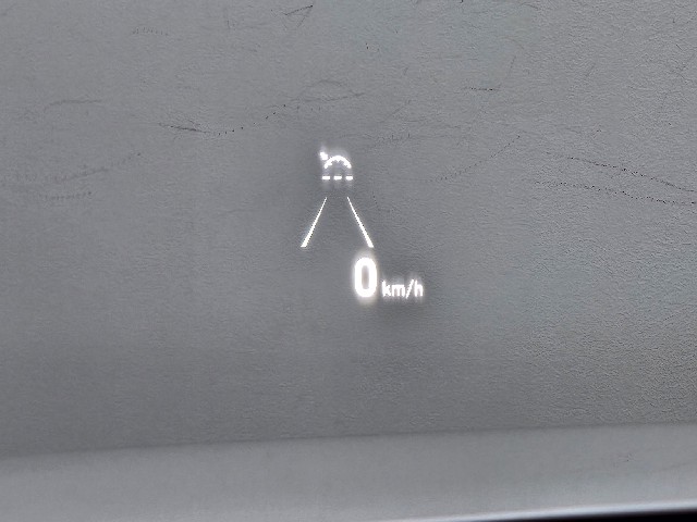 196ea045fe722031d6e2b3b76090e50f.jpeg