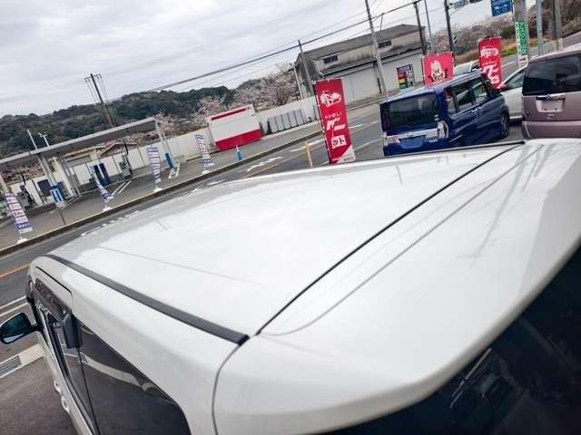 23183626_carP_l_9.jpg