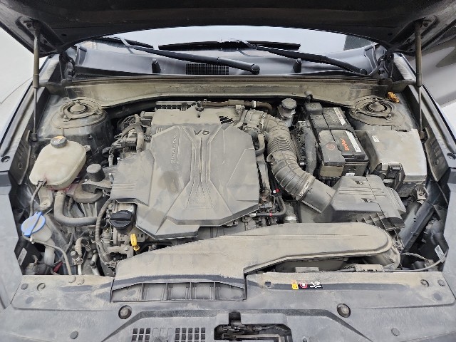 lotterental_214737158_OcDej_2.jpg
