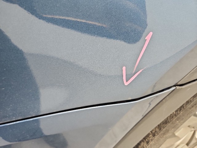 lotterental_162110606_UzYqz_5.jpg