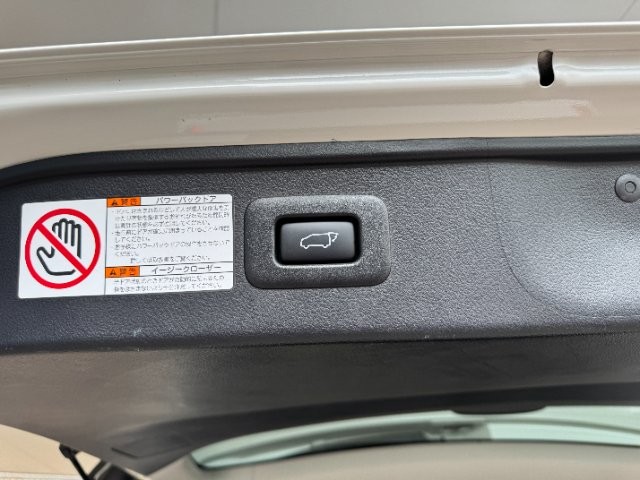 15b9b2dbded067a83fc3367cff7b64d3.jpg