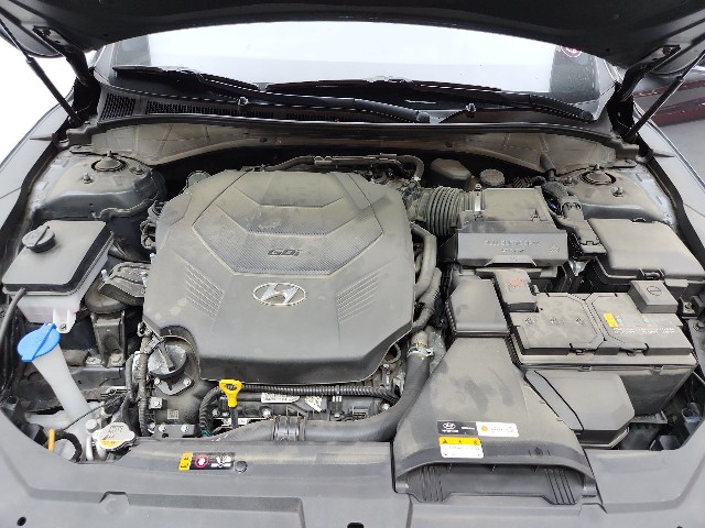 lotterental_10293243_eMPxp_10.jpg