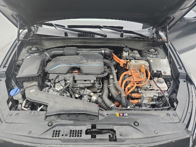 lotterental_172446766_XgIIR_4.jpg