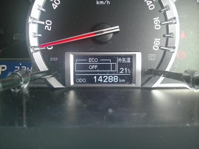 27094681_carP_l_5.jpg