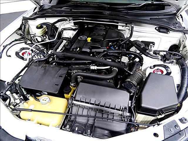 18241347_carP_l_20.jpg