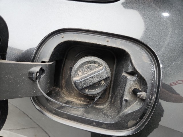 lotterental_115729666_ma54g_2.jpg