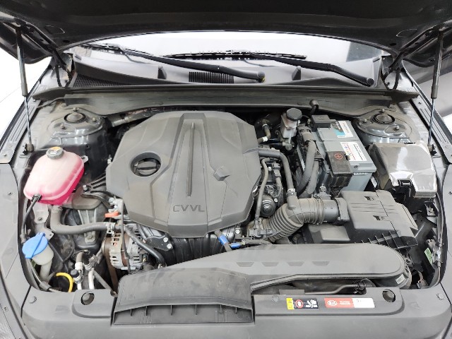 lotterental_11591287_FPP92_4.jpg